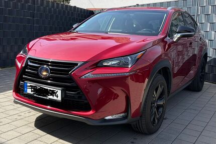 Lexus NX 350h Gebrauchtwagen