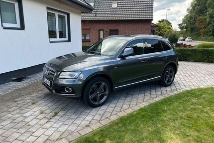 Audi Q5 Gebrauchtwagen