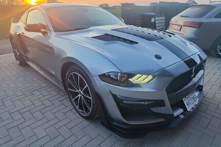 Ford Mustang Gebrauchtwagen