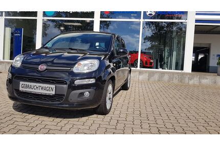 Fiat Panda Gebrauchtwagen