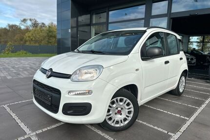 Fiat Panda Gebrauchtwagen