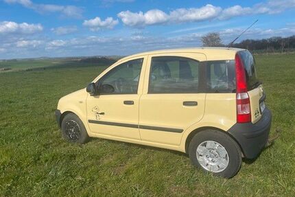 Fiat Panda Gebrauchtwagen