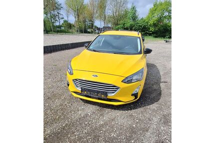 Ford Focus Gebrauchtwagen
