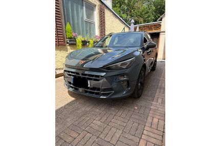 Cupra Terramar Gebrauchtwagen