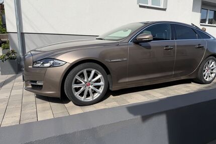 Jaguar XJ Gebrauchtwagen