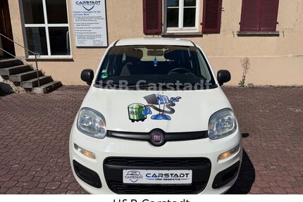 Fiat Panda Gebrauchtwagen