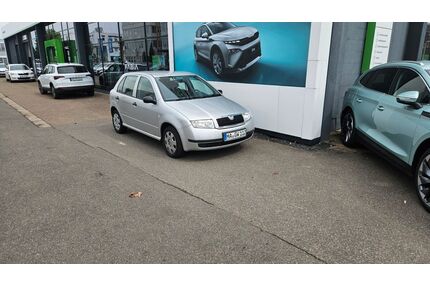 Skoda Fabia Gebrauchtwagen