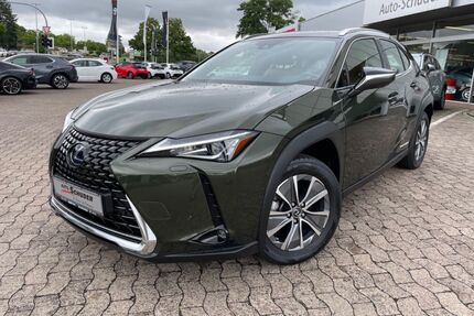 Lexus UX Gebrauchtwagen