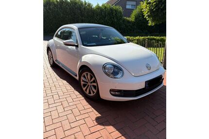 VW Beetle Gebrauchtwagen