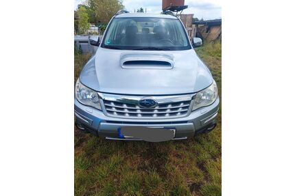Subaru Forester Gebrauchtwagen