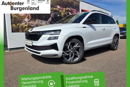 Skoda Karoq Gebrauchtwagen
