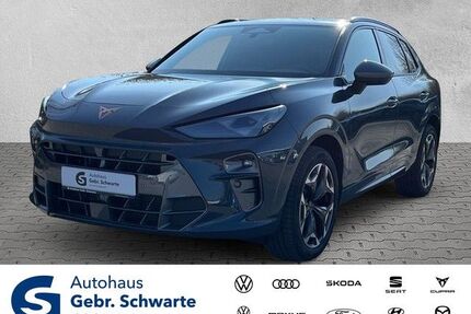 Cupra Terramar Gebrauchtwagen