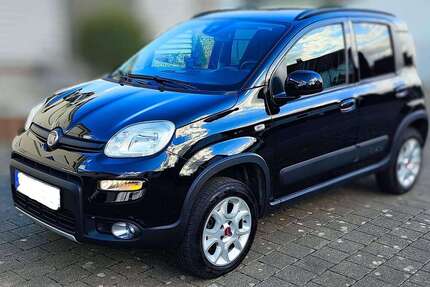 Fiat Panda Gebrauchtwagen