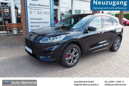 Ford Kuga Gebrauchtwagen