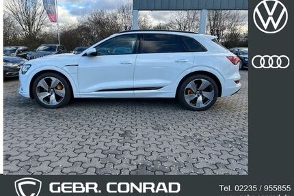 Audi e-tron Gebrauchtwagen