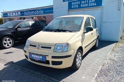 Fiat Panda Gebrauchtwagen
