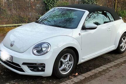 VW Beetle Gebrauchtwagen