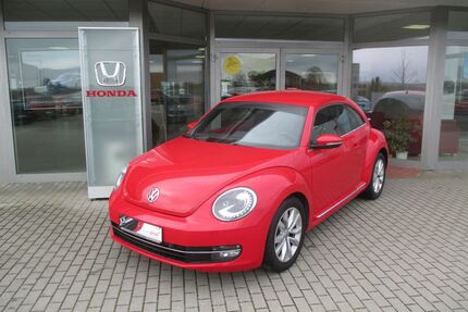 VW Beetle Gebrauchtwagen