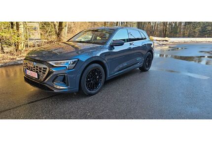 Audi Q8 e-tron Gebrauchtwagen
