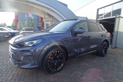 Cupra Terramar Gebrauchtwagen