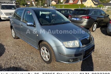 Skoda Fabia Gebrauchtwagen