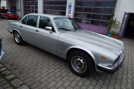 Jaguar XJ6 Gebrauchtwagen