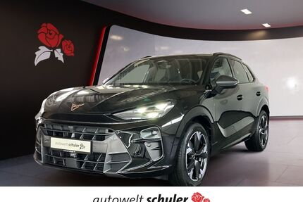 Cupra Terramar Gebrauchtwagen