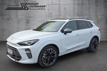 Cupra Terramar Gebrauchtwagen