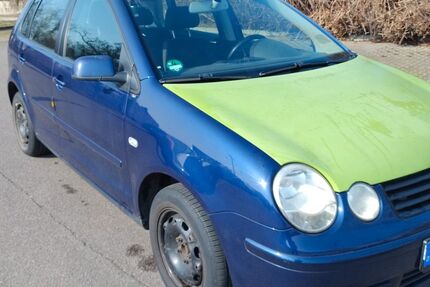 VW Polo Gebrauchtwagen