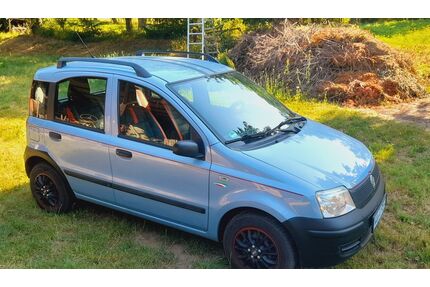 Fiat Panda Gebrauchtwagen