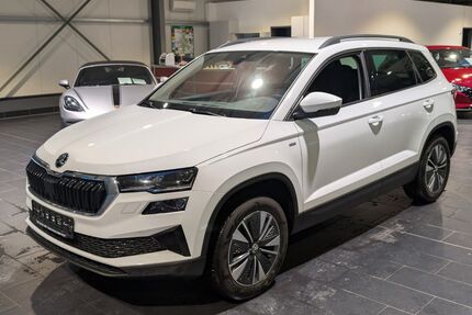 Skoda Karoq Gebrauchtwagen