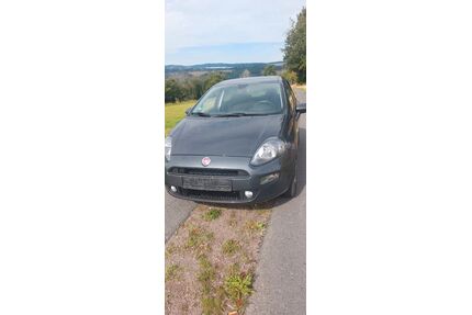 Fiat Punto Gebrauchtwagen