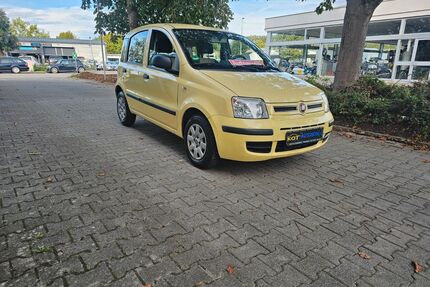 Fiat New Panda Gebrauchtwagen