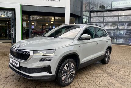 Skoda Karoq Gebrauchtwagen