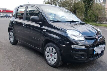 Fiat Panda Gebrauchtwagen