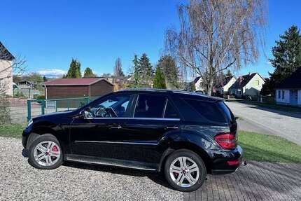 Mercedes-Benz ML 350 Gebrauchtwagen