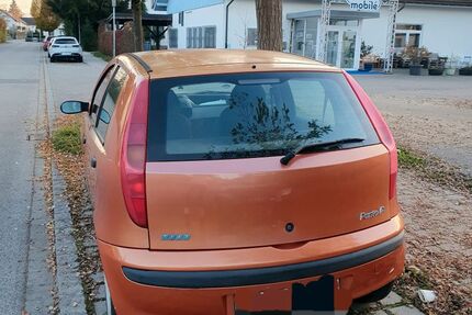 Fiat Punto Gebrauchtwagen