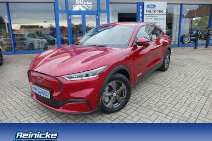 Ford Mustang Mach-E Gebrauchtwagen