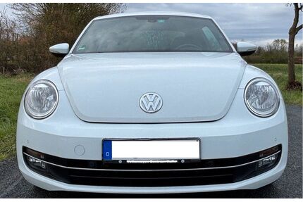 VW Beetle Gebrauchtwagen