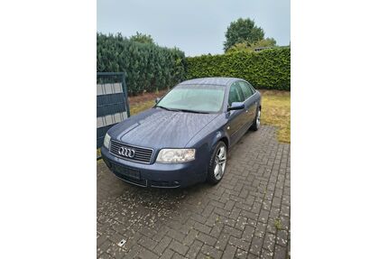 Audi A6 Gebrauchtwagen