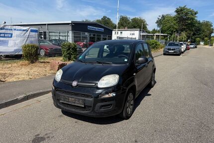 Fiat Panda Gebrauchtwagen