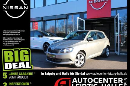 Skoda Fabia Gebrauchtwagen