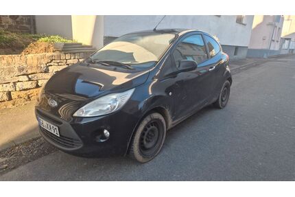 Ford Ka/Ka+ Gebrauchtwagen