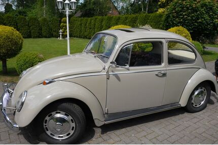 VW Käfer Gebrauchtwagen