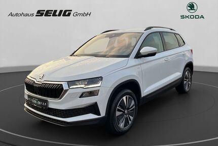 Skoda Karoq Gebrauchtwagen