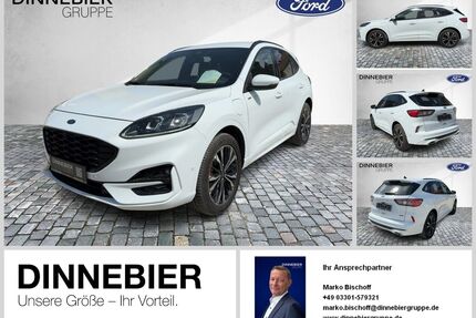 Ford Kuga Gebrauchtwagen