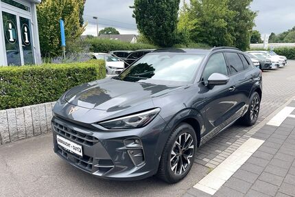 Cupra Terramar Gebrauchtwagen