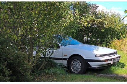 Nissan Silvia Gebrauchtwagen