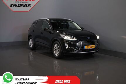 Ford Kuga Gebrauchtwagen