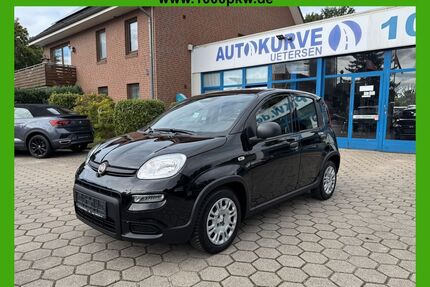 Fiat Panda Gebrauchtwagen